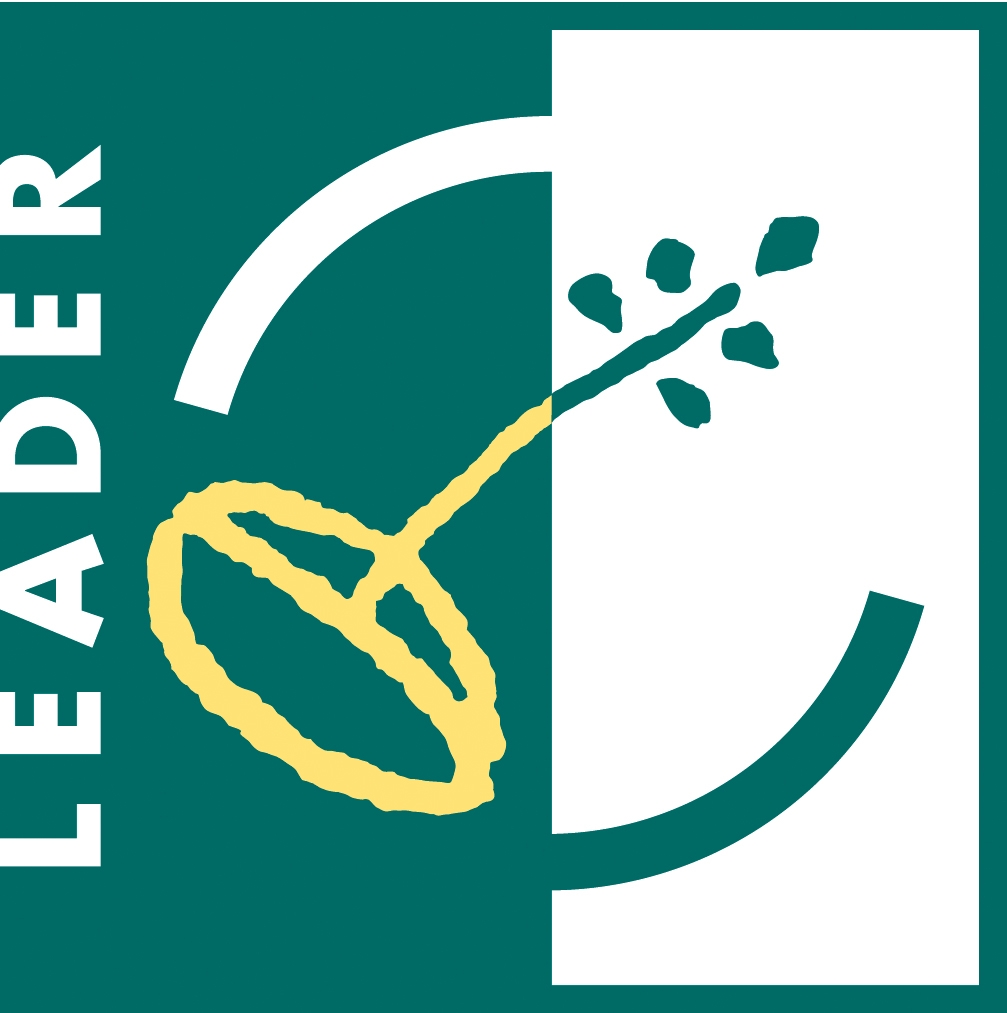 Logo Leader 07 13