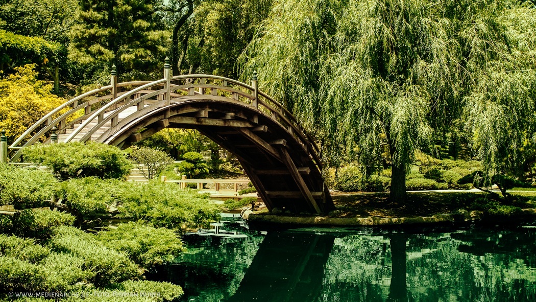 Brücke über einen See